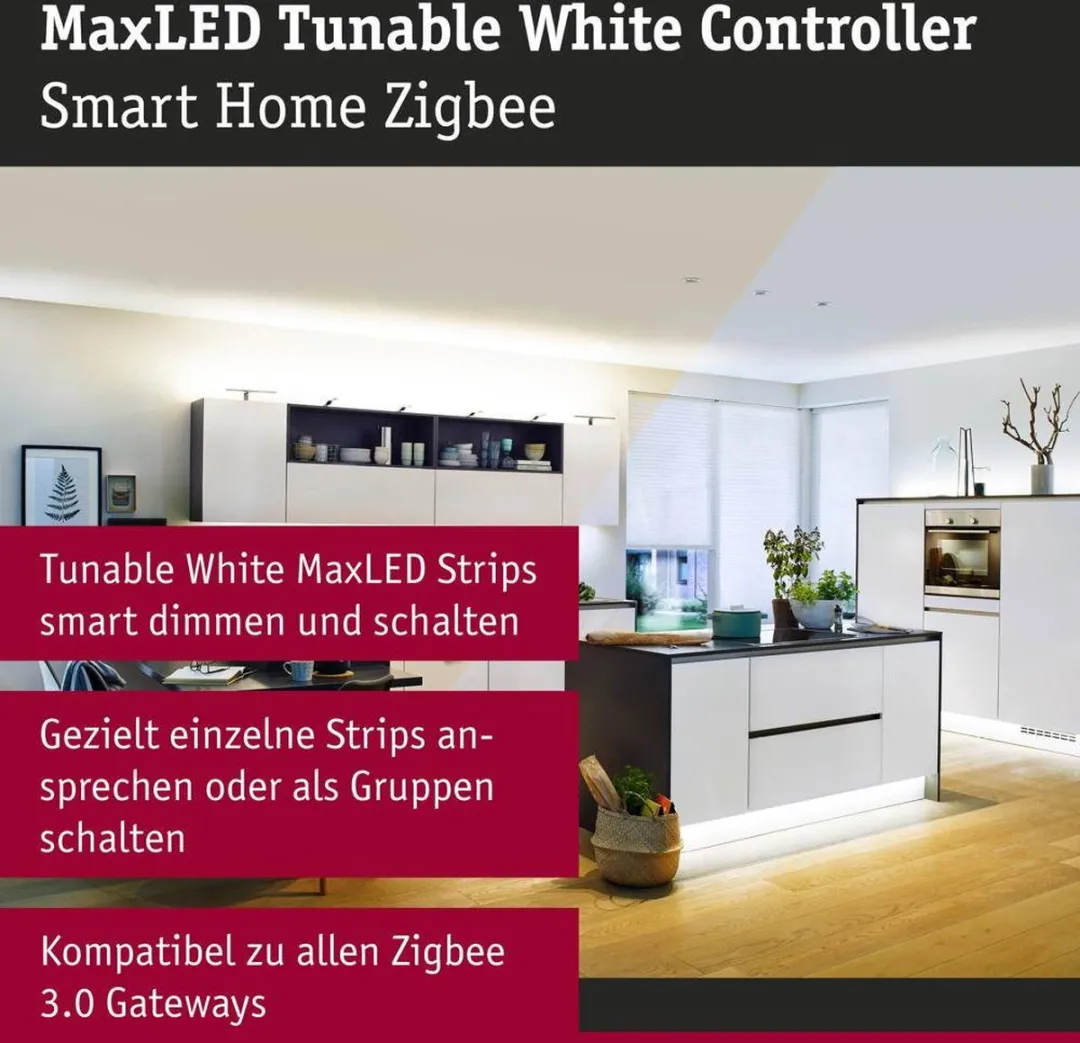 Paulmann MaxLED 50046 Schakelcontroller 24V - Grijs/Wit