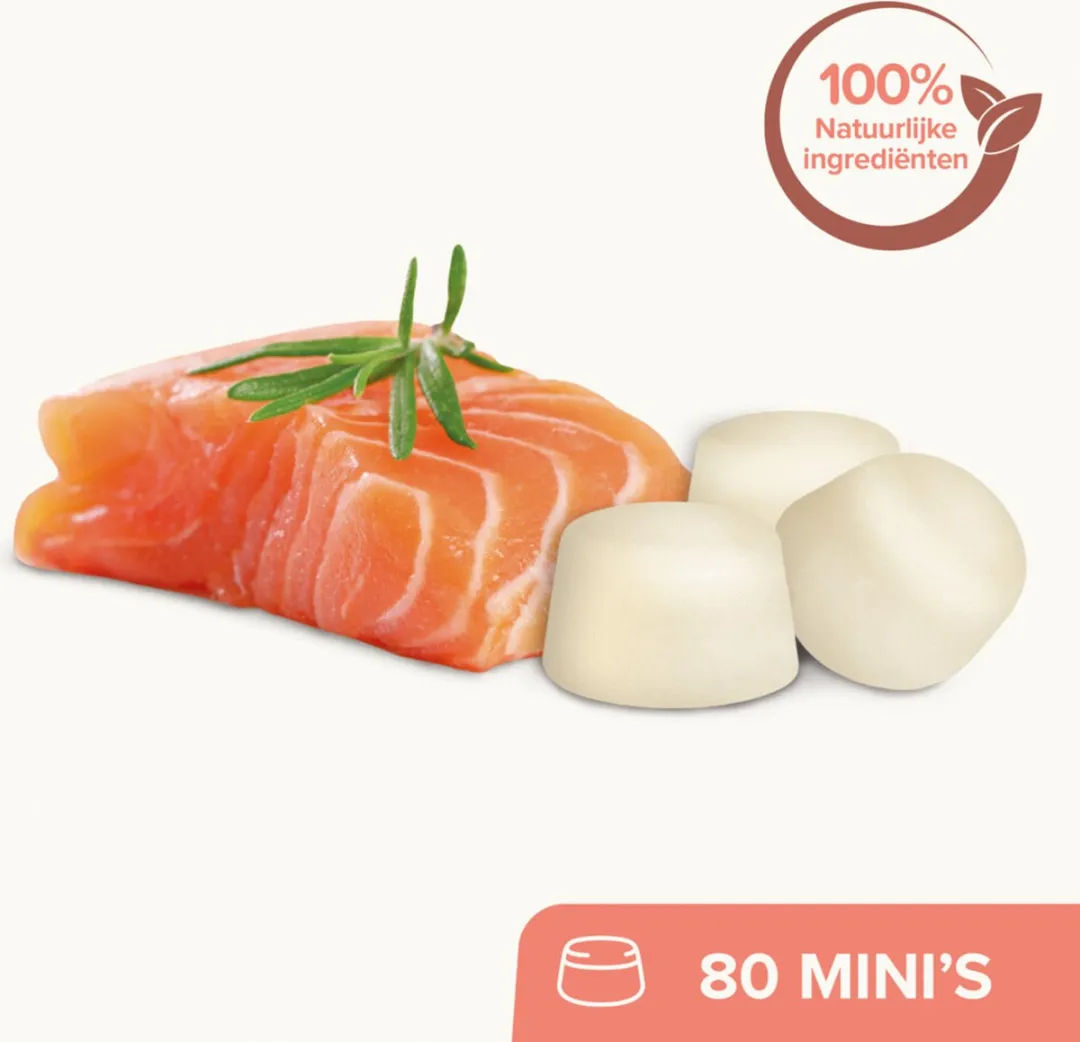 Beaphar Schapenvet Bonbons Zalm Mini 245g