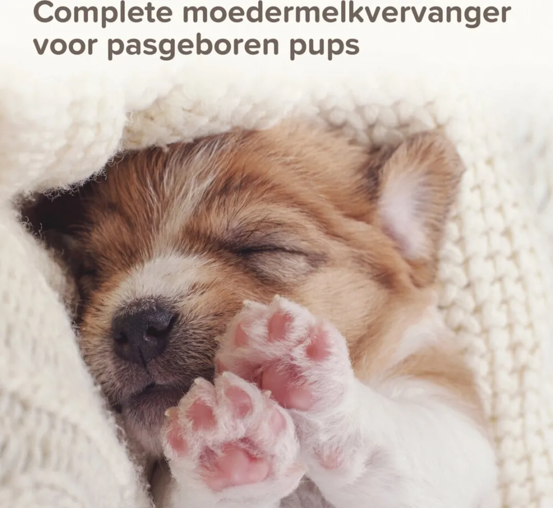 Beaphar Lactol Melk Puppy 250g - 3 Stuks