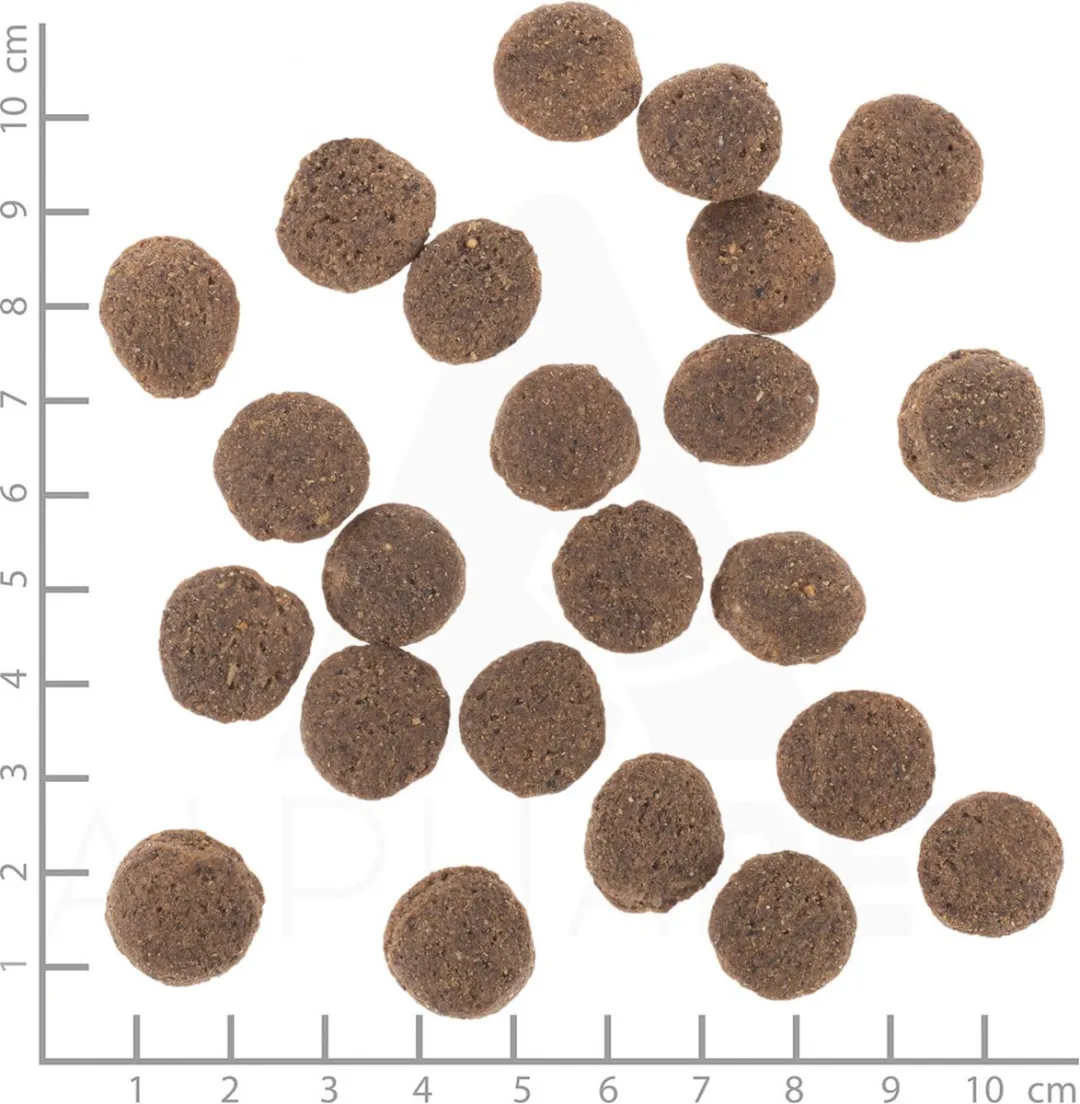 Wolfsblut VetLine Hypoallergeen - 8 kg (4x2kg)