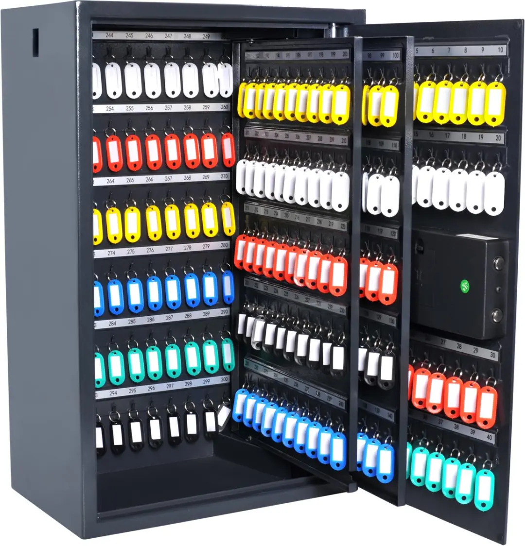 Pavo Sleutelkast High Security Advanced 300 Haken