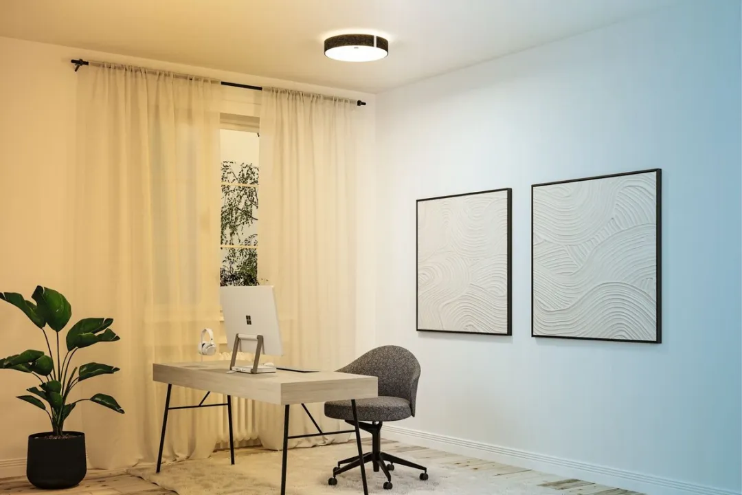 Paulmann Malika LED Plafondlamp Zigbee 3.0 - 2500lm Antraciet
