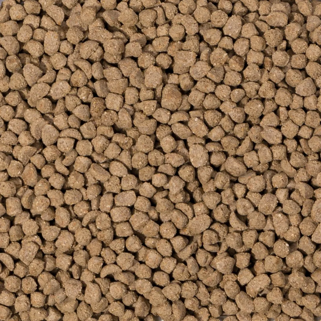 Beaphar Care+ Gerbilvoer 700g