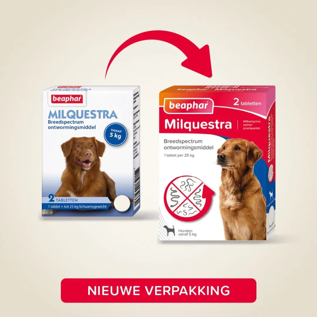 Beaphar Milquestra Ontworming Tabletten Hond 5-50 kg - 2 Stuks