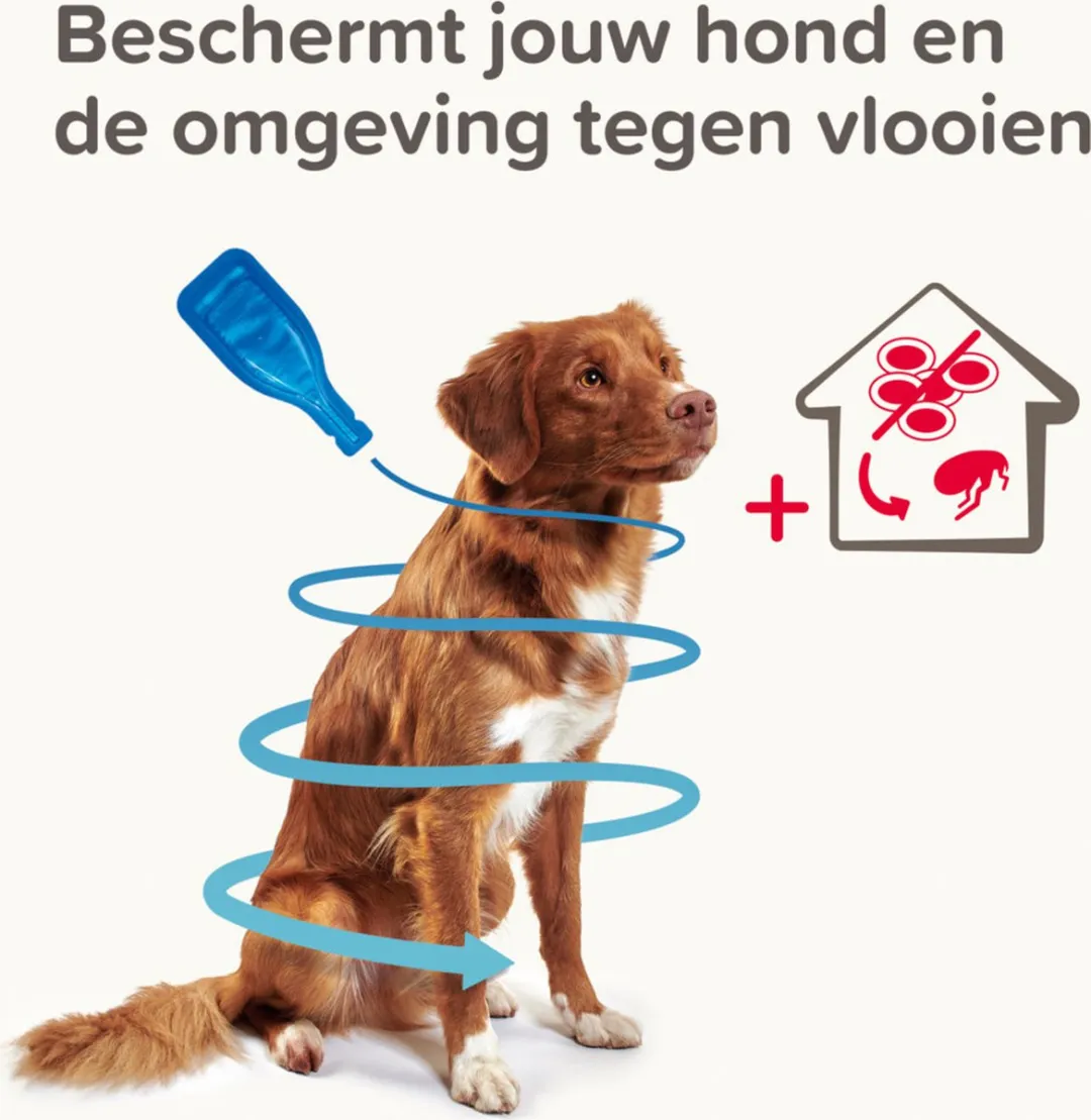 Beaphar Combotec Anti Tekendruppels Hond 2-10 kg - 2ml