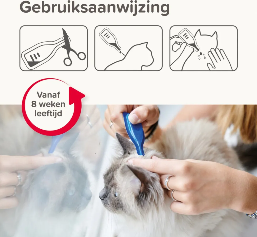 Beaphar Combotec Kat Anti-Vlooien & Teken Druppels 2ml
