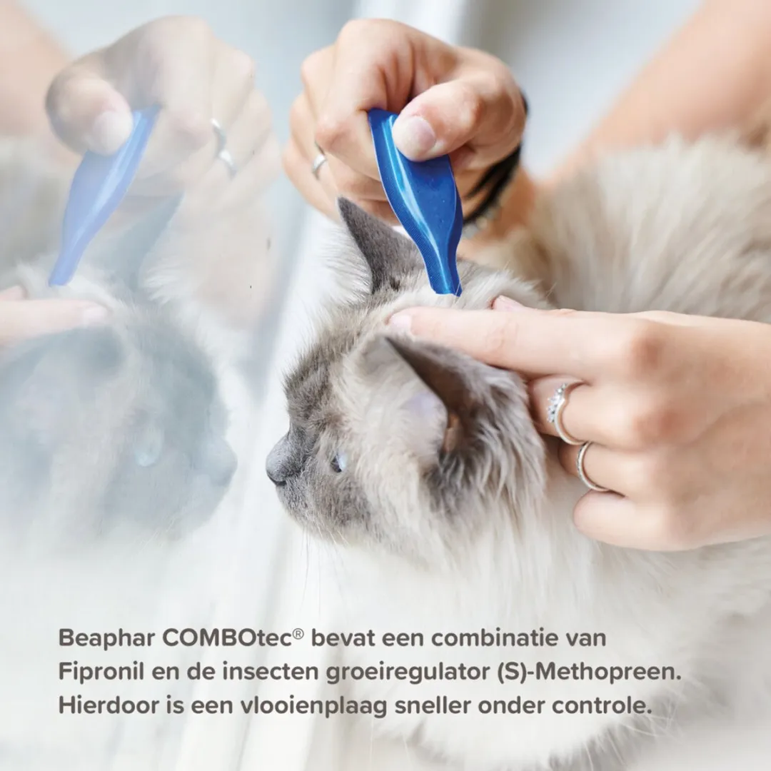 Beaphar Combotec Kat Anti-Vlooien & Teken Druppels 2ml