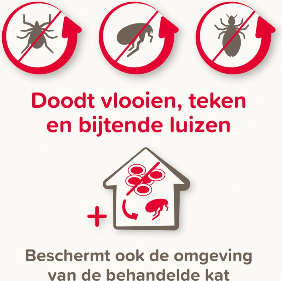 Beaphar Combotec Kat Anti-Vlooien & Teken Druppels 2ml