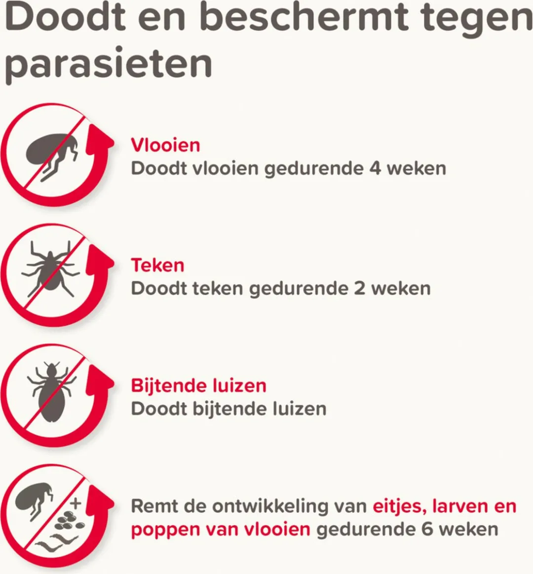 Beaphar Combotec Kat Anti-Vlooien & Teken Druppels 2ml