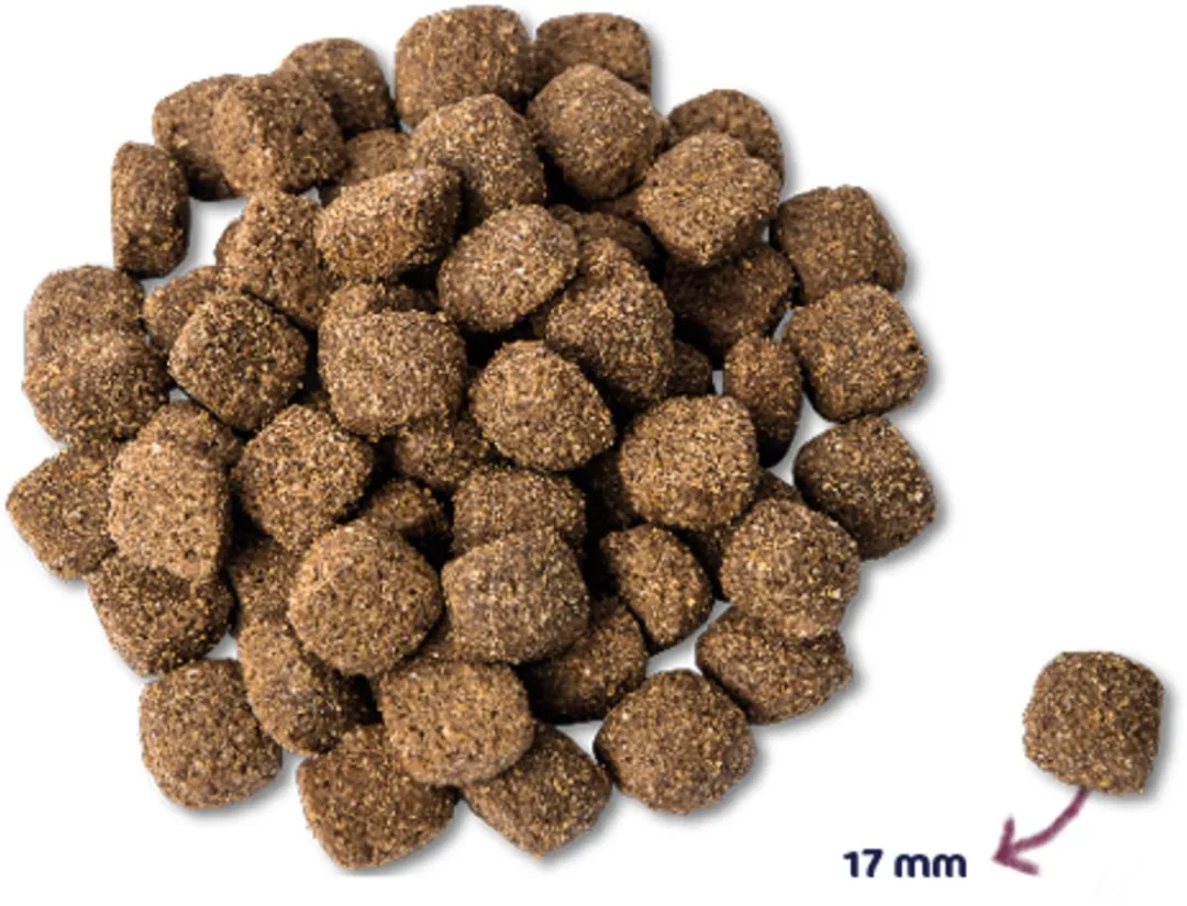 Renske Mighty Omega Plus Hondenvoer Kip - 3 kg