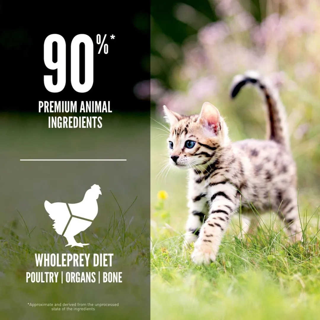 Orijen Kitten Kip Kalkoen Zalm Kattenvoer 340g