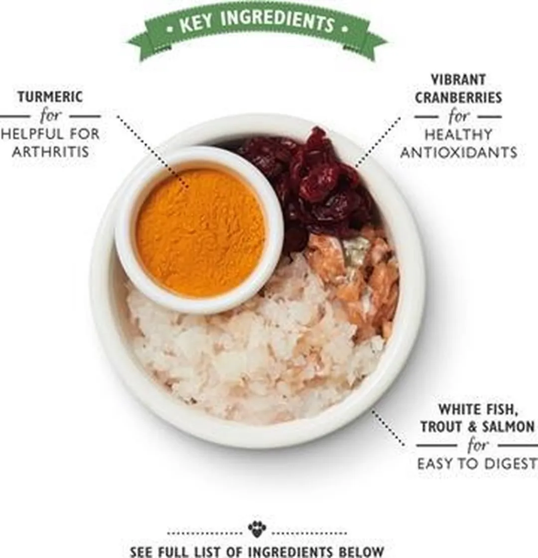 Lily's Kitchen Senior Fish & Turkey Kattenvoer