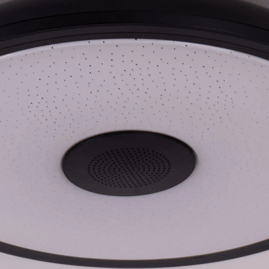 Plafondlamp met Bluetooth-luidspreker met kleurverandering dimbare lamp met afst