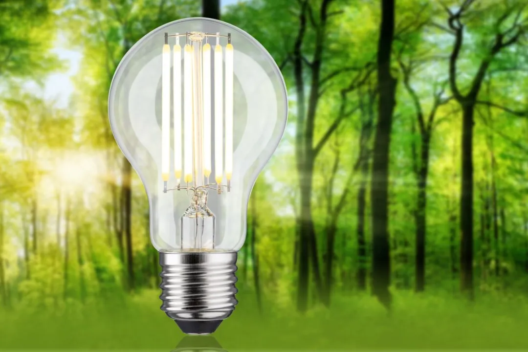 Paulmann Eco-Line LED-gloeilamp E27 7,2W 1521lm Warm wit