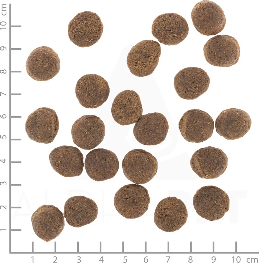 Wolfsblut VetLine Gastrointestinal 12kg