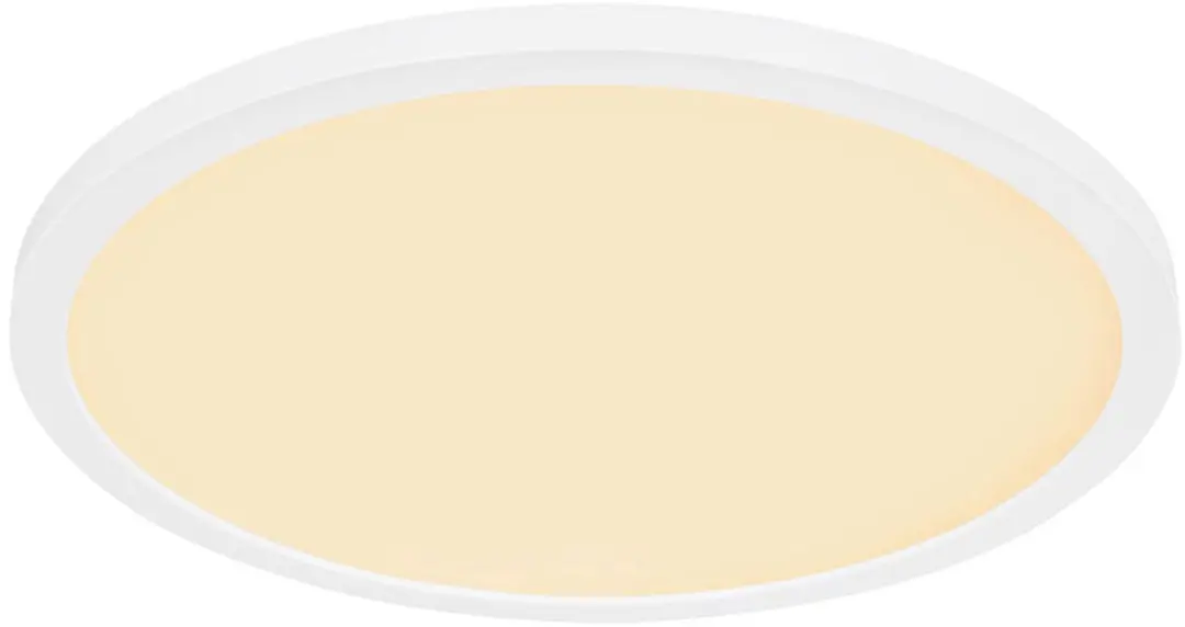 Plafondlamp Woonkamerschijnwerper Eettafellamp Geheugenfunctie IP44 LED 24W wit