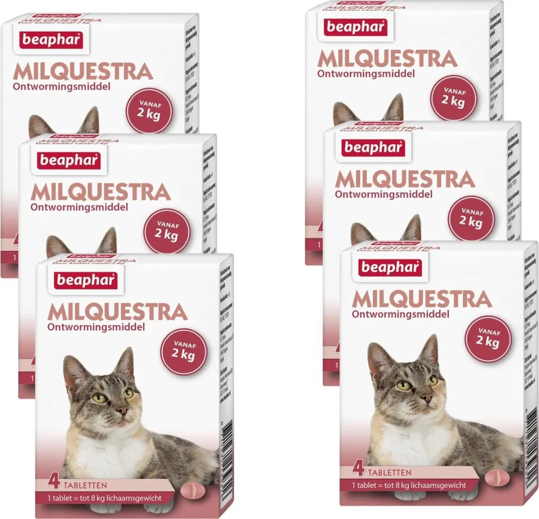 Beaphar Milquestra Kat Ontwormtabletten 24 Stuks