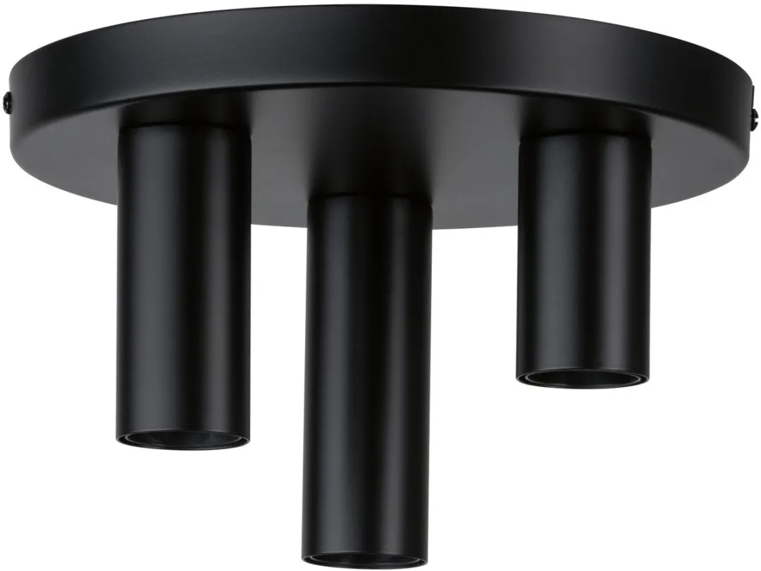 Paulmann Neordic Skogen Plafondlamp E27