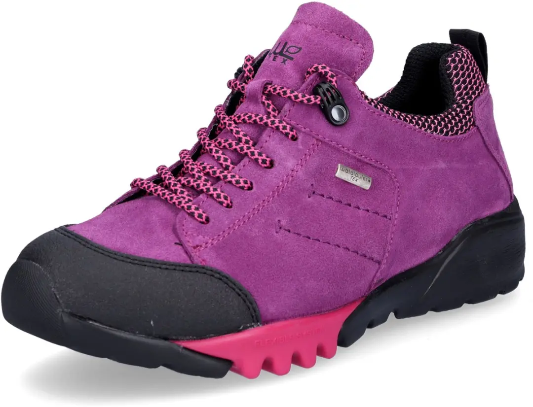 Waldläufer H-Amiata