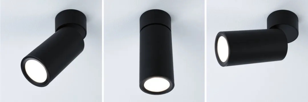 Paulmann Turnal Coin LED Plafondlamp 6W - Zwart mat