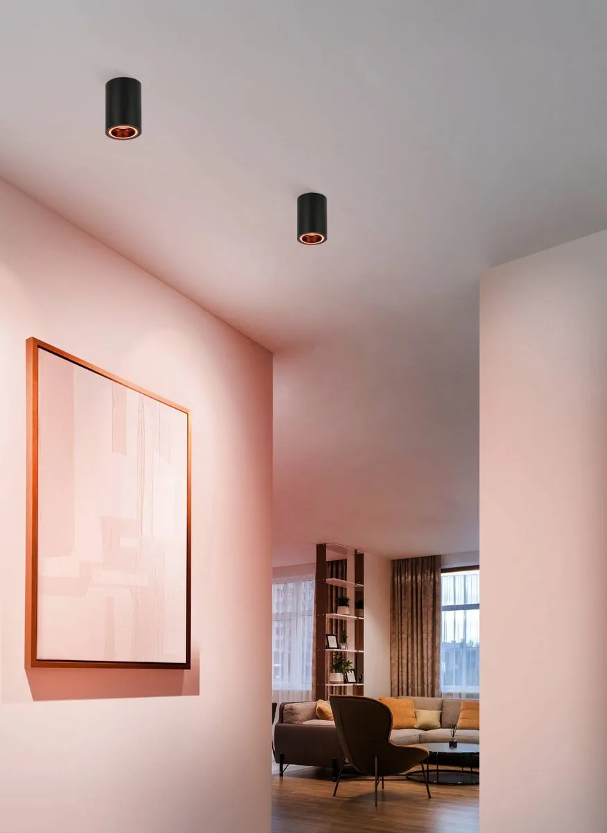 EGLO connect.z Carosso-Z Smart Opbouwlamp GU10 - RGB & Wit - Zigbee - Zwart/Wit
