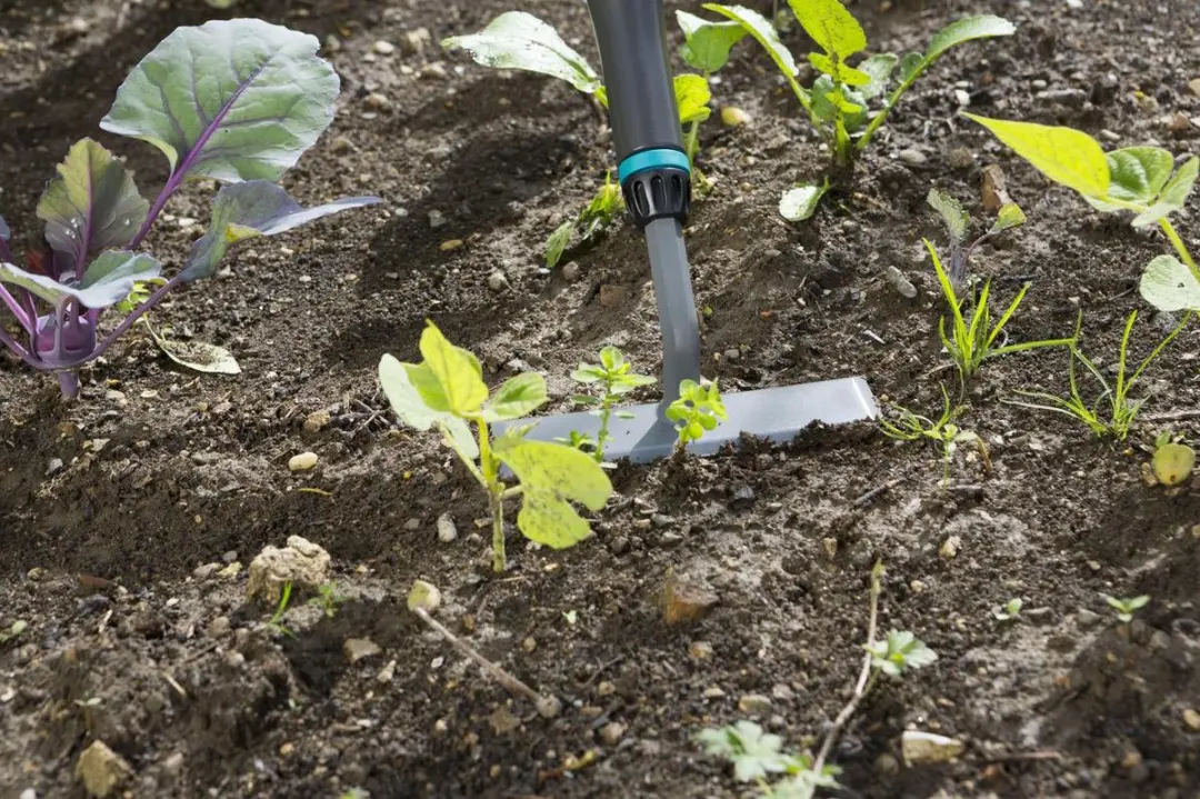 Gardena NatureLine Schoffel 14cm - afbeelding 4 van 6