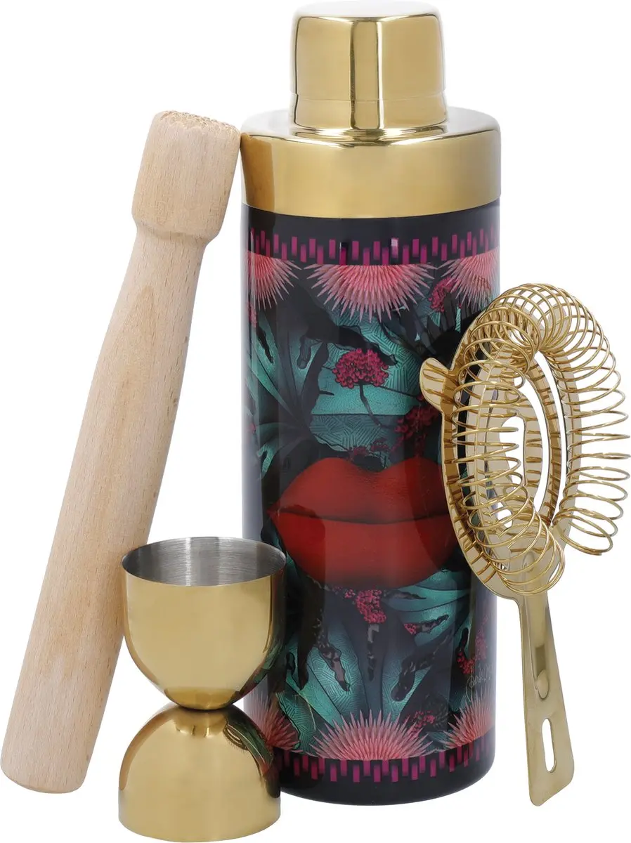 Mikasa x Sarah Arnett 4-delige Cocktail Shaker Set, Roestvrijstalen Cocktail Mak