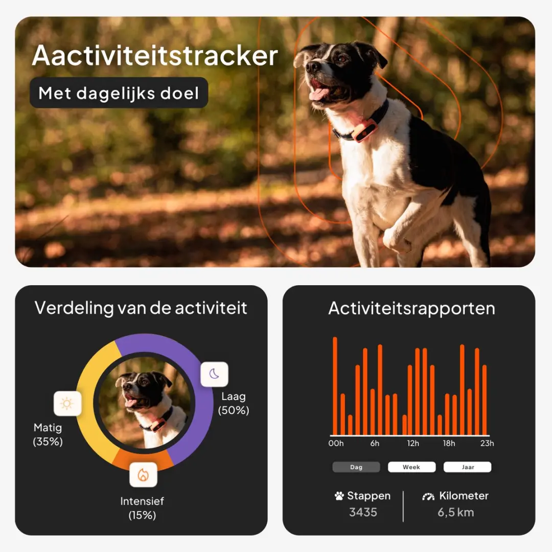 Weenect Dog XS GPS-tracker voor honden - Zwart - afbeelding 6 van 6