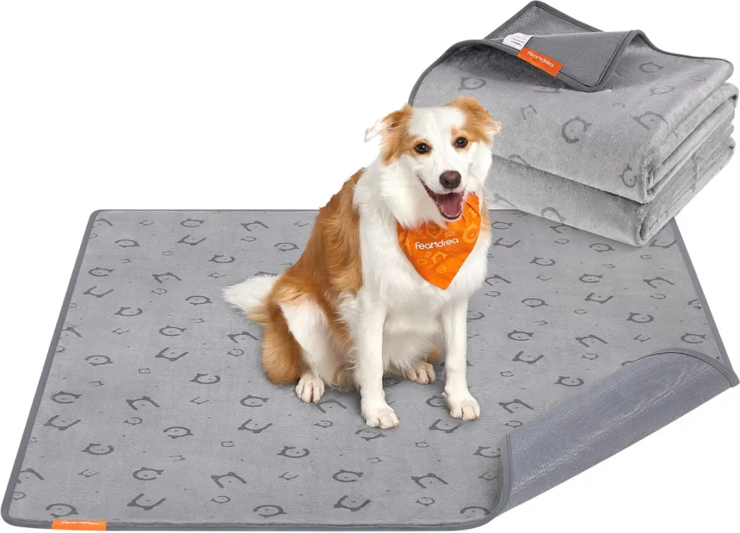 Feandrea Trainingsmat Puppy XXL