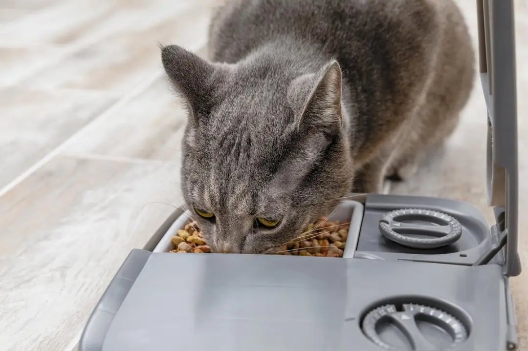 PetSafe Automatische Voerbak