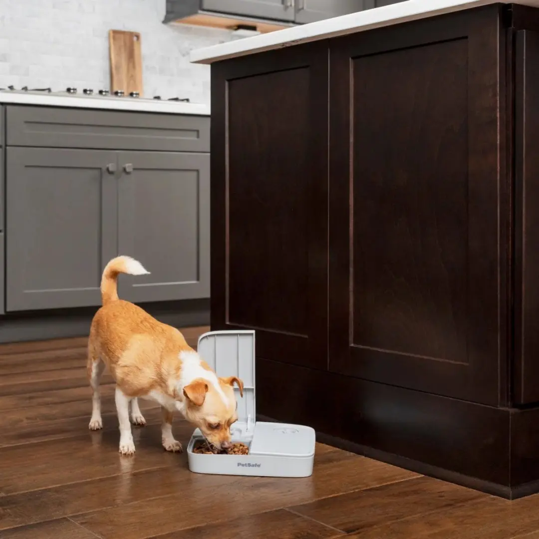 PetSafe Automatische Voerbak - 2 Maaltijden - 710ml - afbeelding 5 van 6