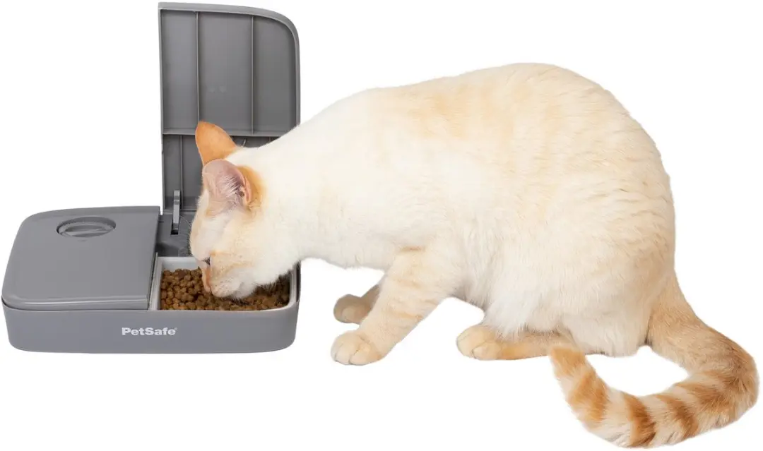 PetSafe Automatische Voerbak - 2 Maaltijden - 710ml - afbeelding 3 van 6