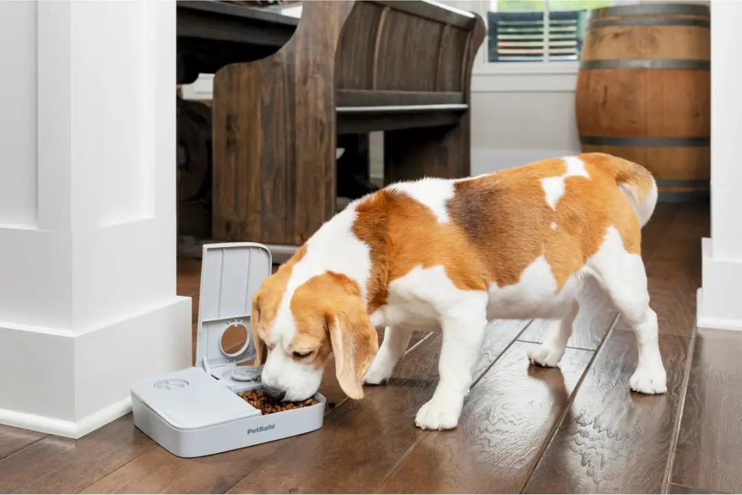 PetSafe Automatische Voerbak - 2 Maaltijden - 710ml - afbeelding 6 van 6