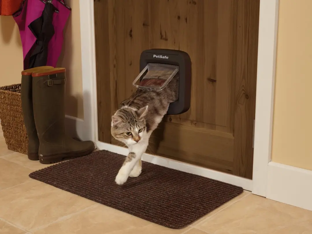 PetSafe Microchip Kattenluik - Wit - afbeelding 6 van 6