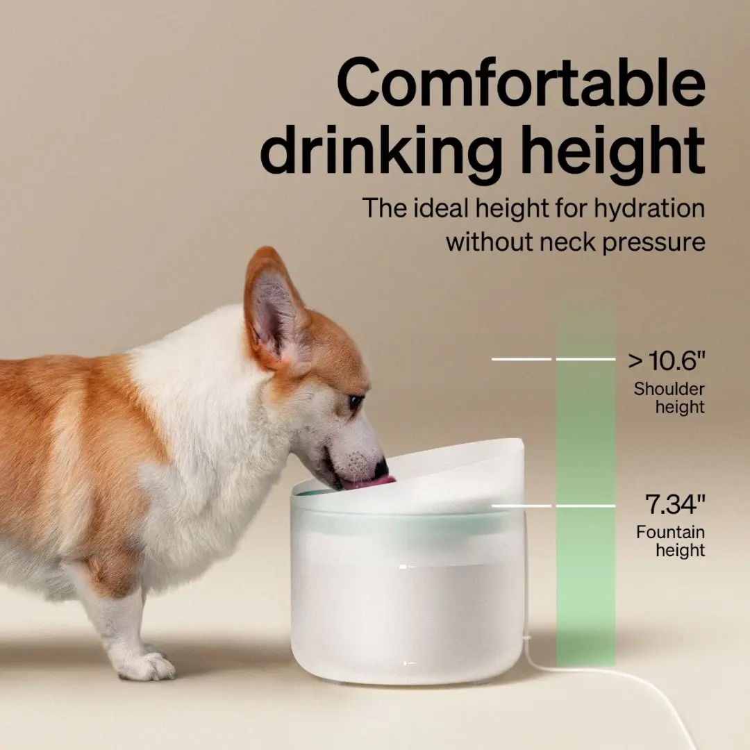 PETLIBRO Capsule PLWF008 Drinkfontein voor Honden - Wit - afbeelding 6 van 6