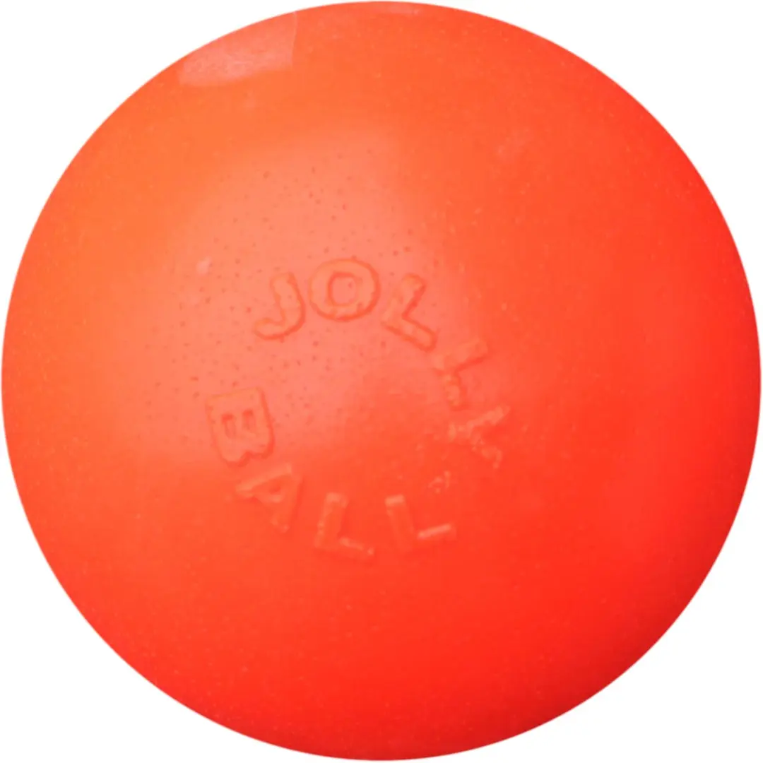 Jolly Pets Bounce-n Play Hondenspeelbal 15cm