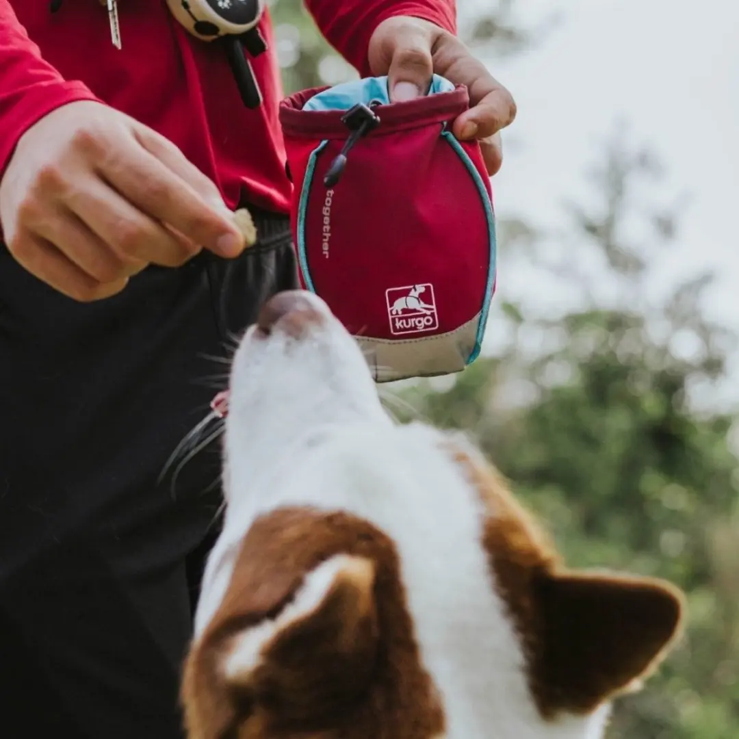 Kurgo Go-Stuff-It Dog Treat Bag K01913 - Rood - afbeelding 6 van 6