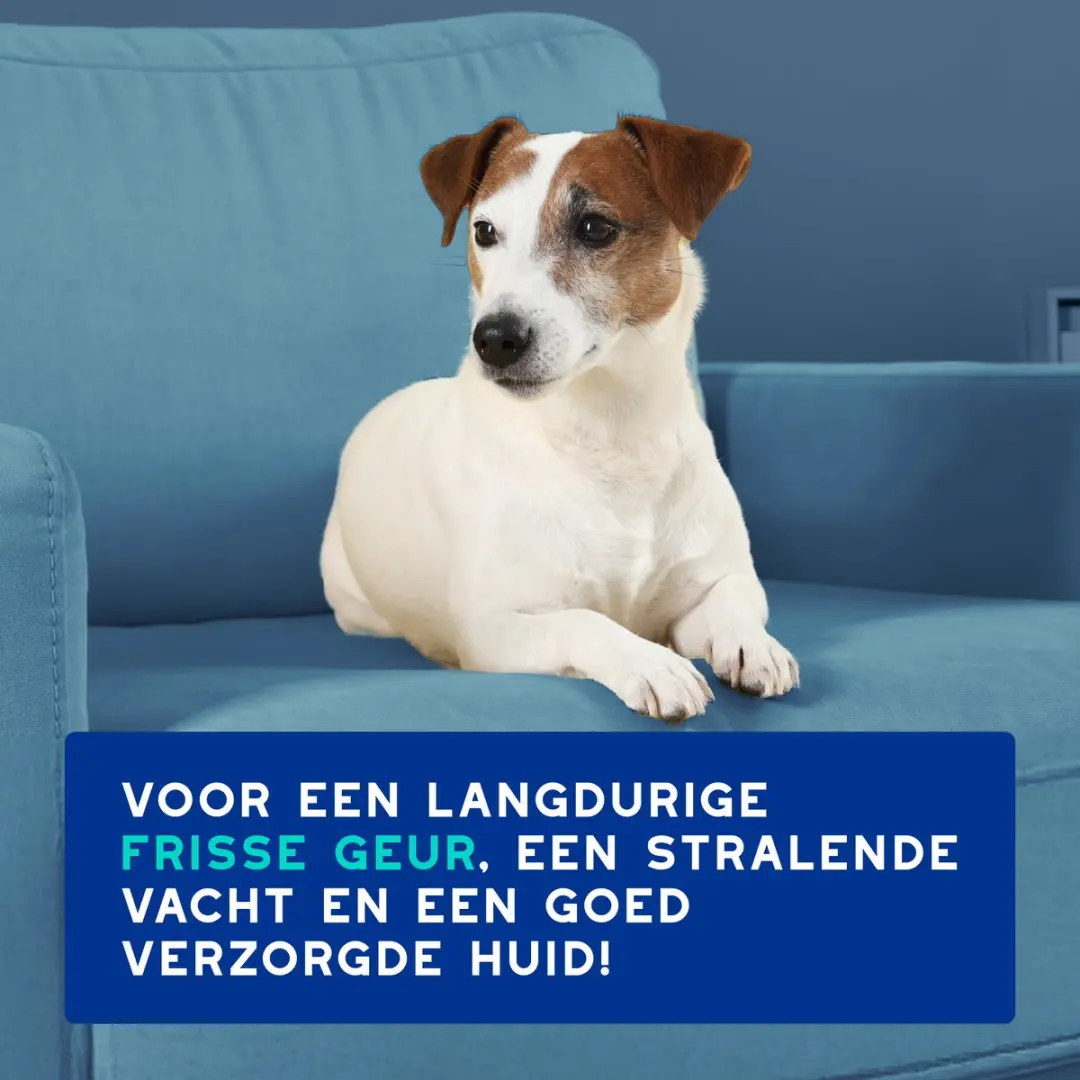 Douxo SPA 3-in-1 Anti-Geur Spray Hond 340ml - afbeelding 2 van 6