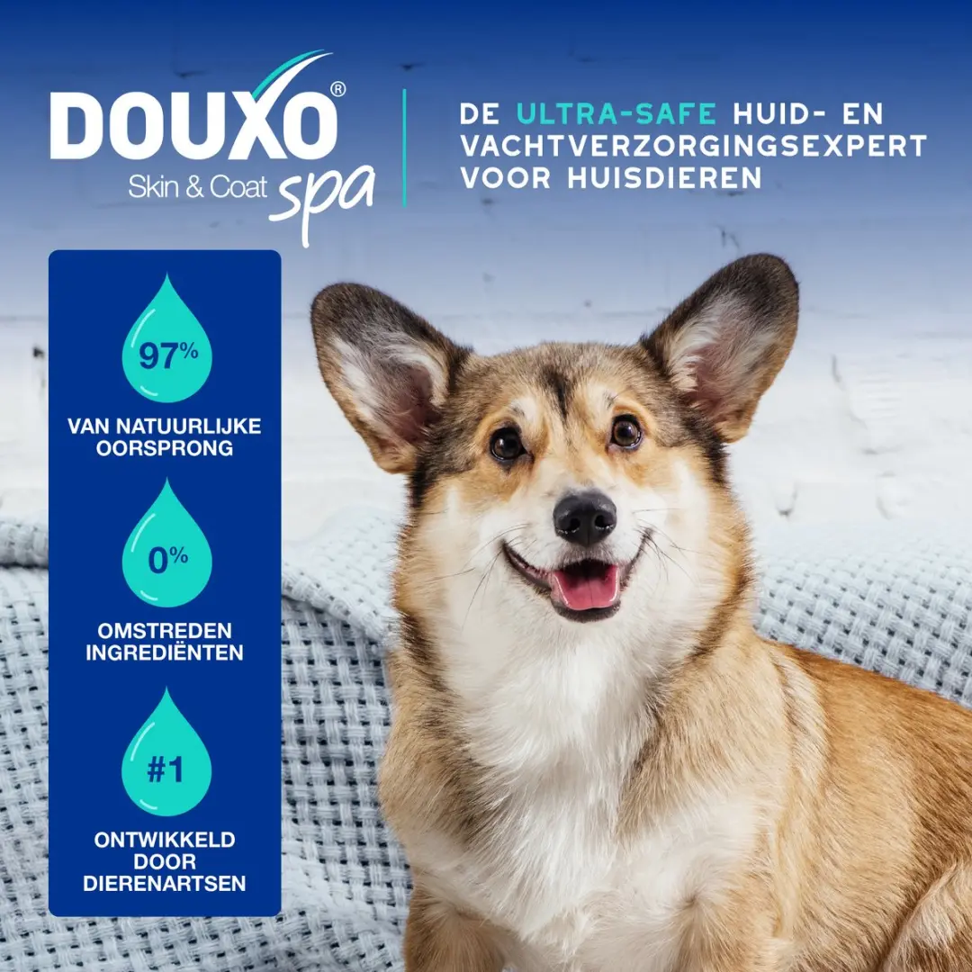 Douxo SPA 3-in-1 Anti-Geur Spray Hond 340ml - afbeelding 6 van 6