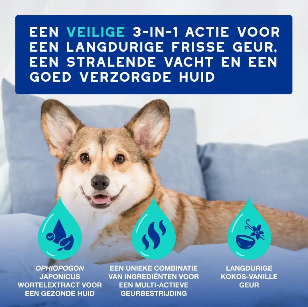 Douxo SPA 3-in-1 Anti-Geur Spray Hond 340ml - afbeelding 3 van 6