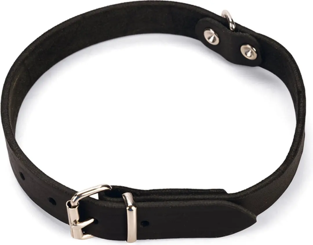 Karlie Halsband