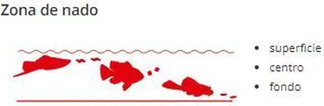 Sera Fishtamin Aquariumvitamines 100ml