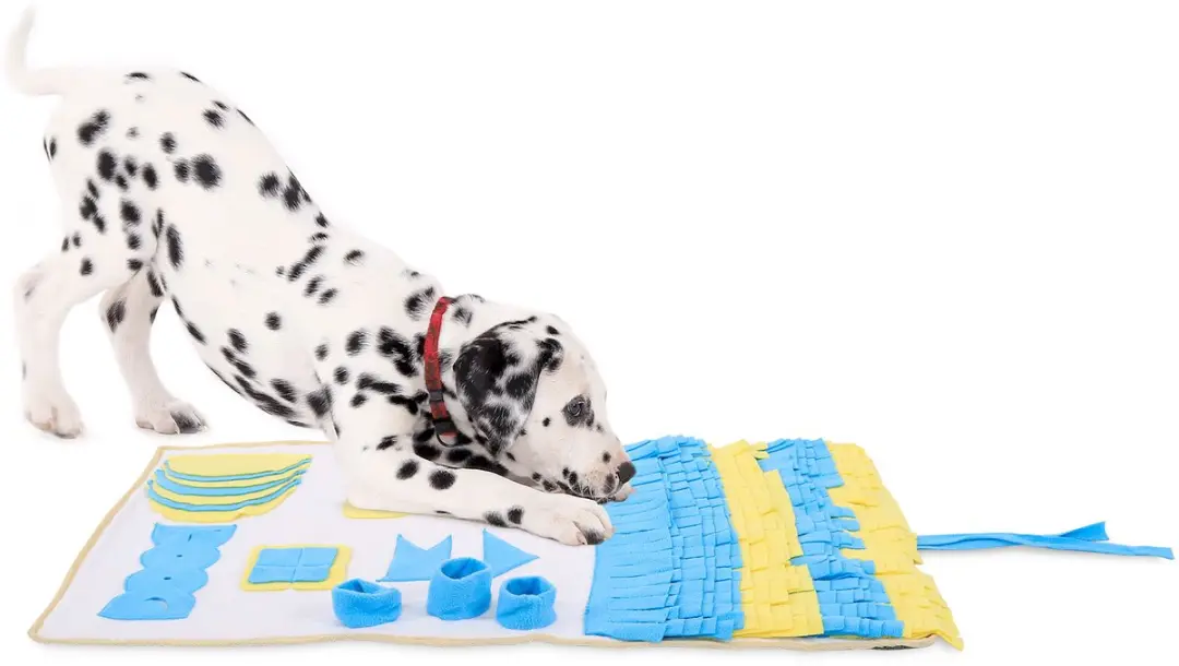 lionto Snuffelmat voor honden, zoekspel & anti-schrokmat, 100x60 cm