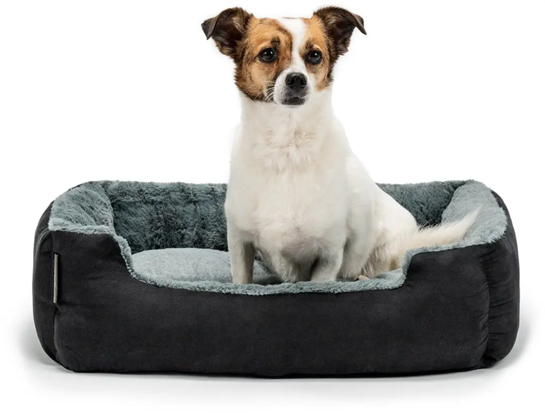 lionto zacht Hondenbed, omkeerbaar kussen & antislip bodem 60x48 cm zwar/grijs