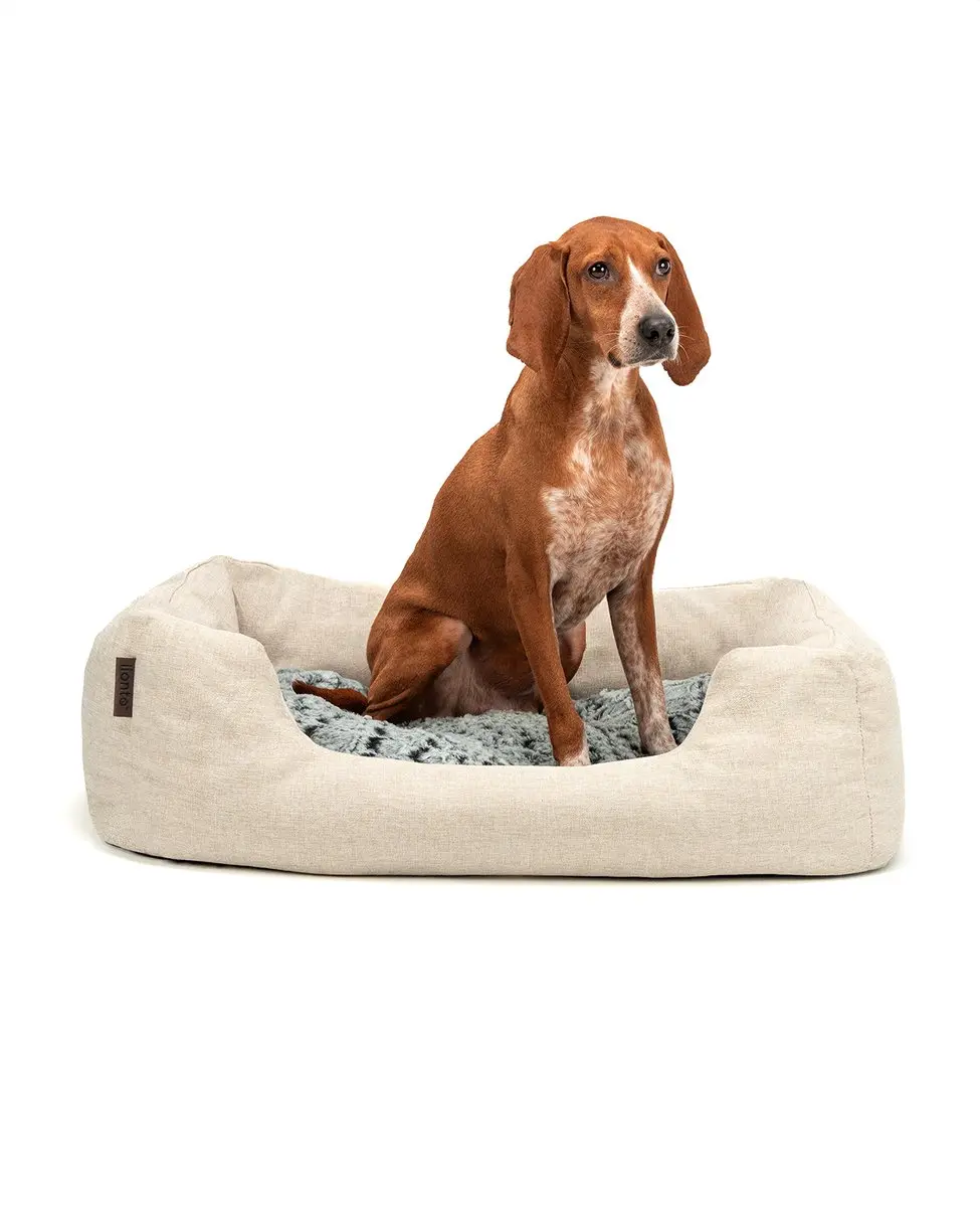 lionto comfort hondenmand, zacht, antislip & onderhoudsvriendelijk, 80x60 cm bei