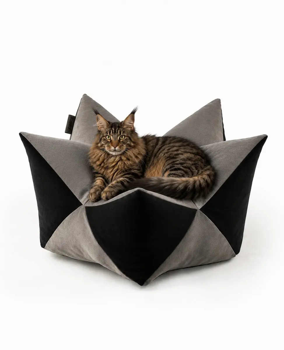 lionto Sterrenkussen kat, zacht kattenbed 85x45 cm grijs/zwart