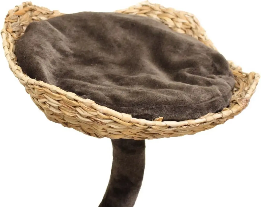 Croci Natural Magnolia Krabpaal 99cm - Bruin/Beige - afbeelding 2 van 6