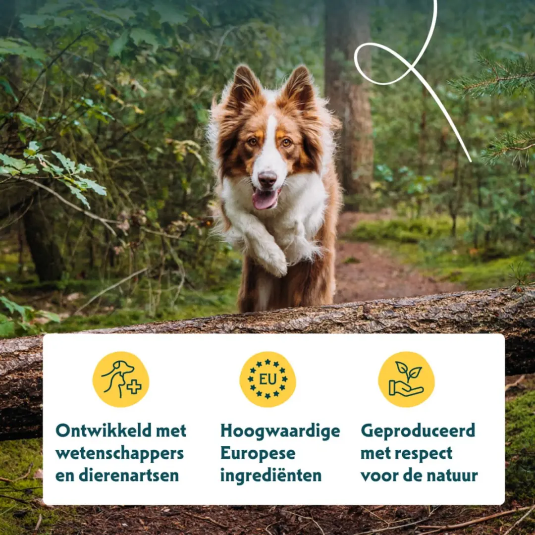 Yarrah Bio Hondenvoer Adult Kip 2kg - 4x - afbeelding 2 van 6