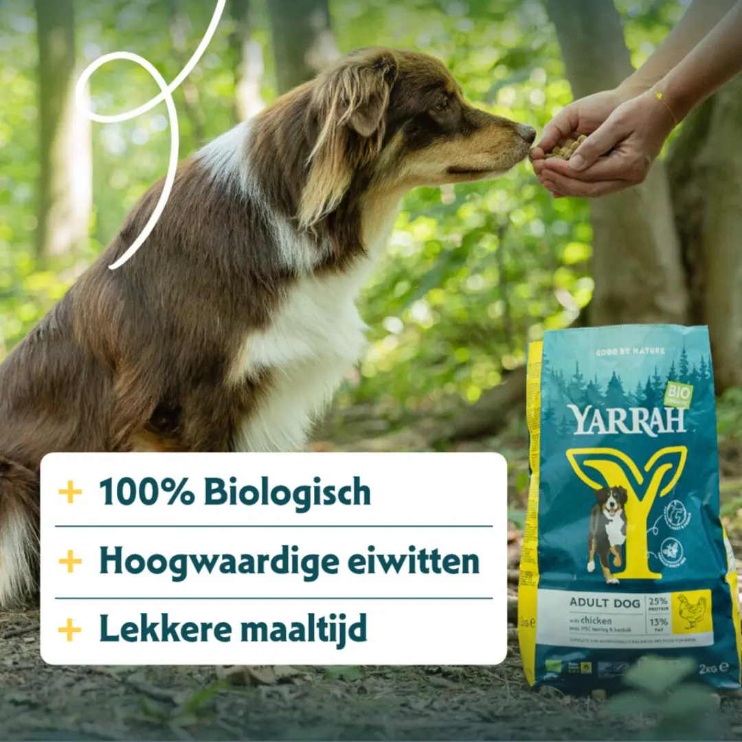 Yarrah Bio Hondenvoer Adult Kip 2kg - 4x - afbeelding 3 van 6