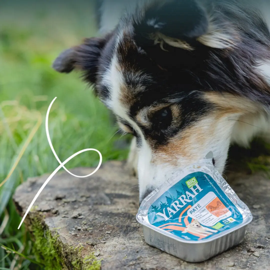 Yarrah Bio Alu Paté Grainfree Hondenvoer Kip & Eend 150g - 12x - afbeelding 2 van 6